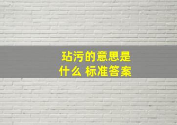 玷污的意思是什么 标准答案